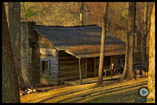 cabin1